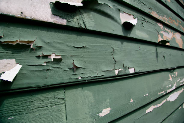 Best Stone Veneer Siding  in Moody, AL