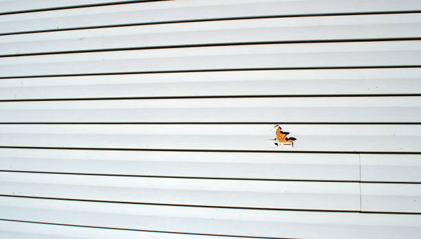 Best Composite Siding  in Moody, AL