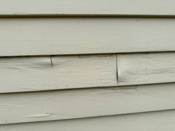 Best Siding Removal and Disposal  in Moody, AL